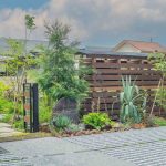 DSC_9889 縺ョ繧ウ繝偵z繝シ