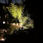 102AD01D-2E43-43F4-A5A1-F20B9669AE40