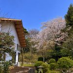 IMG_0626_blue-sky